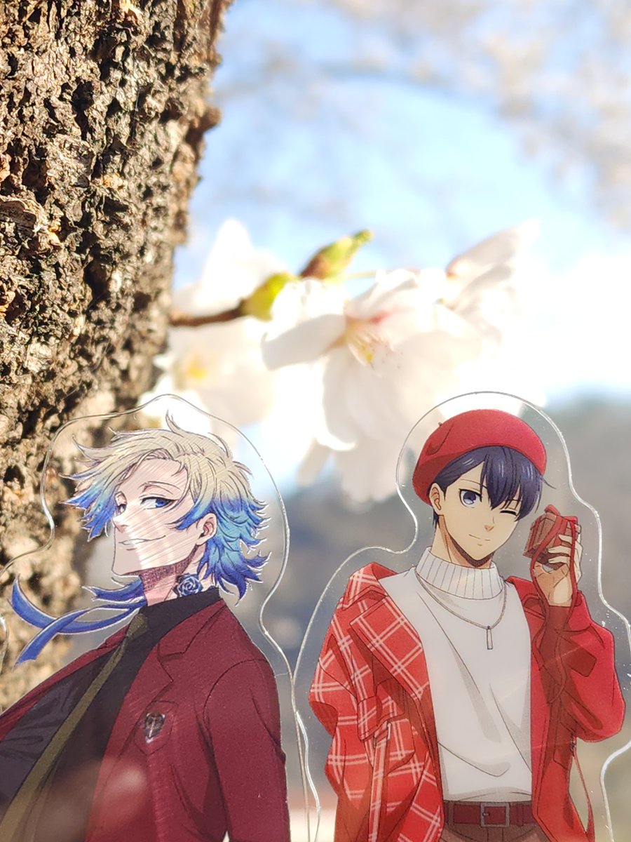 트친소중)🍀조용히 살고싶다 tweet media