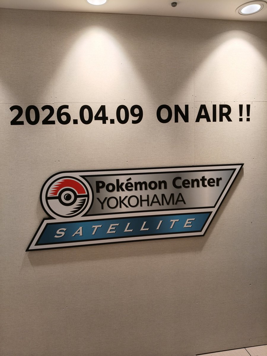 ソチャ日誌 tweet media