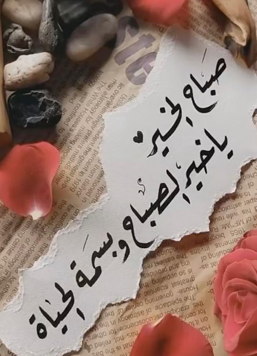 أميرة الحرف࿐✿∴`¹⁸⁰⁰⁰ᵏ` tweet media