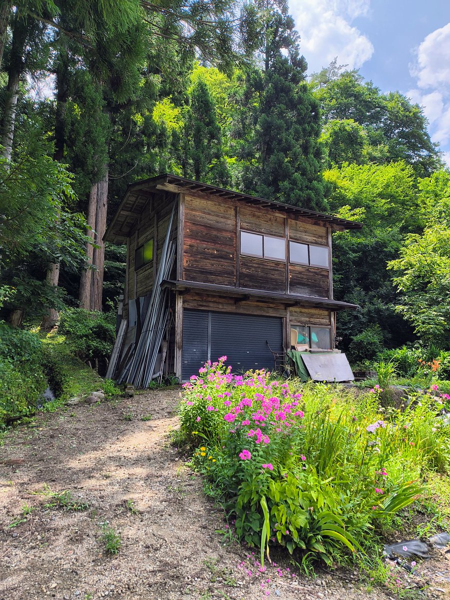 キウイ🥝 tweet media