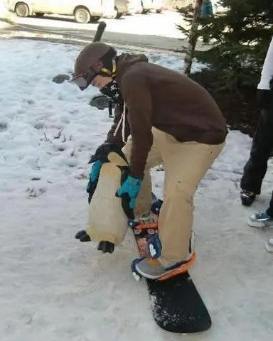 쫑언니🤍 tweet media