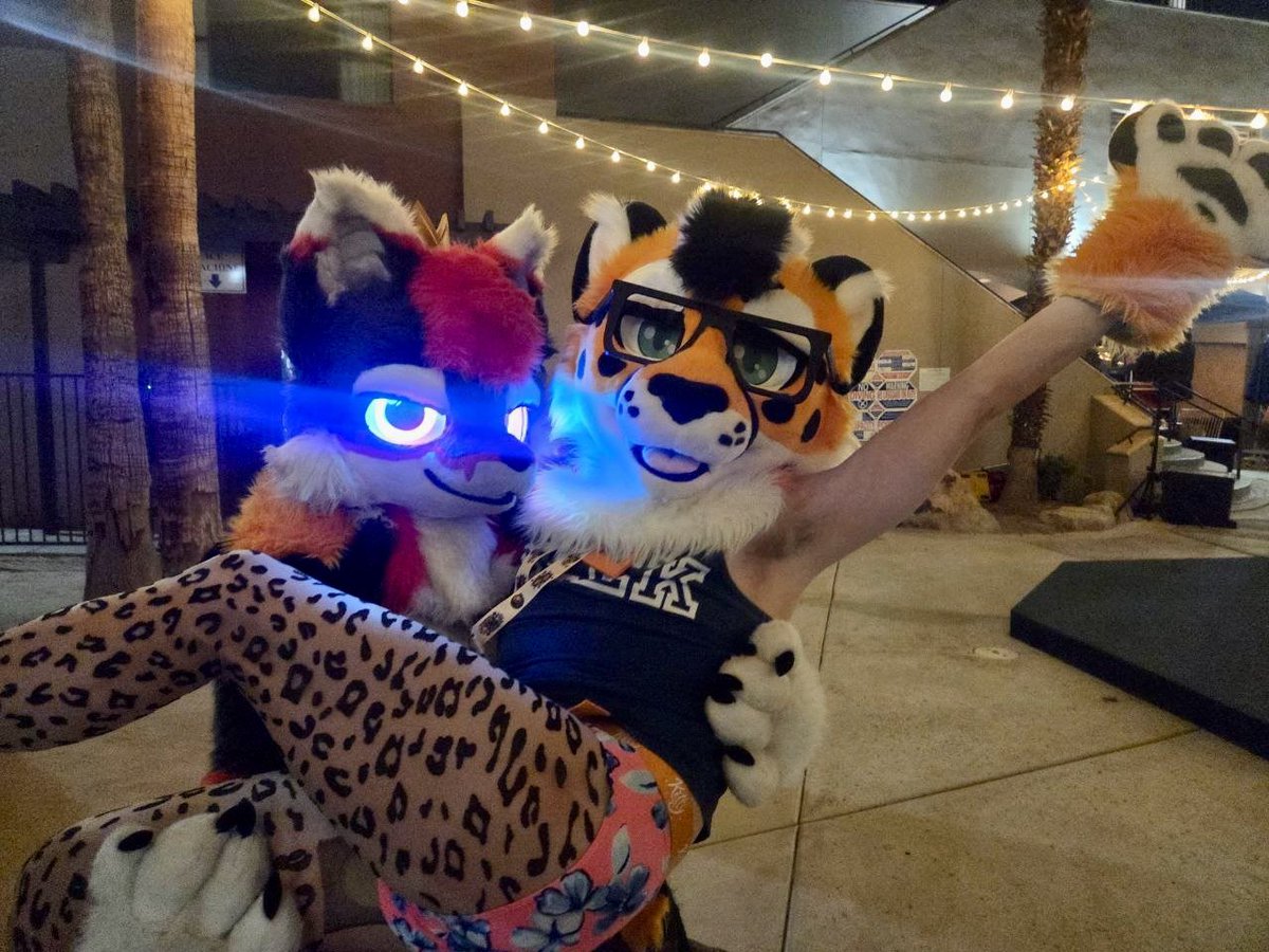timmytimyay's tweet photo. Finally meeting your bestie in the fur after a year of hanging out in VR is a feeling like none other https://t.co/6PPx7ZHLl2