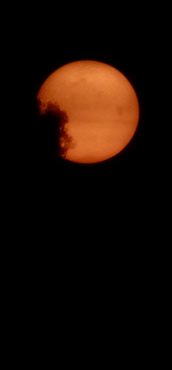 singlecornead0r tweet media