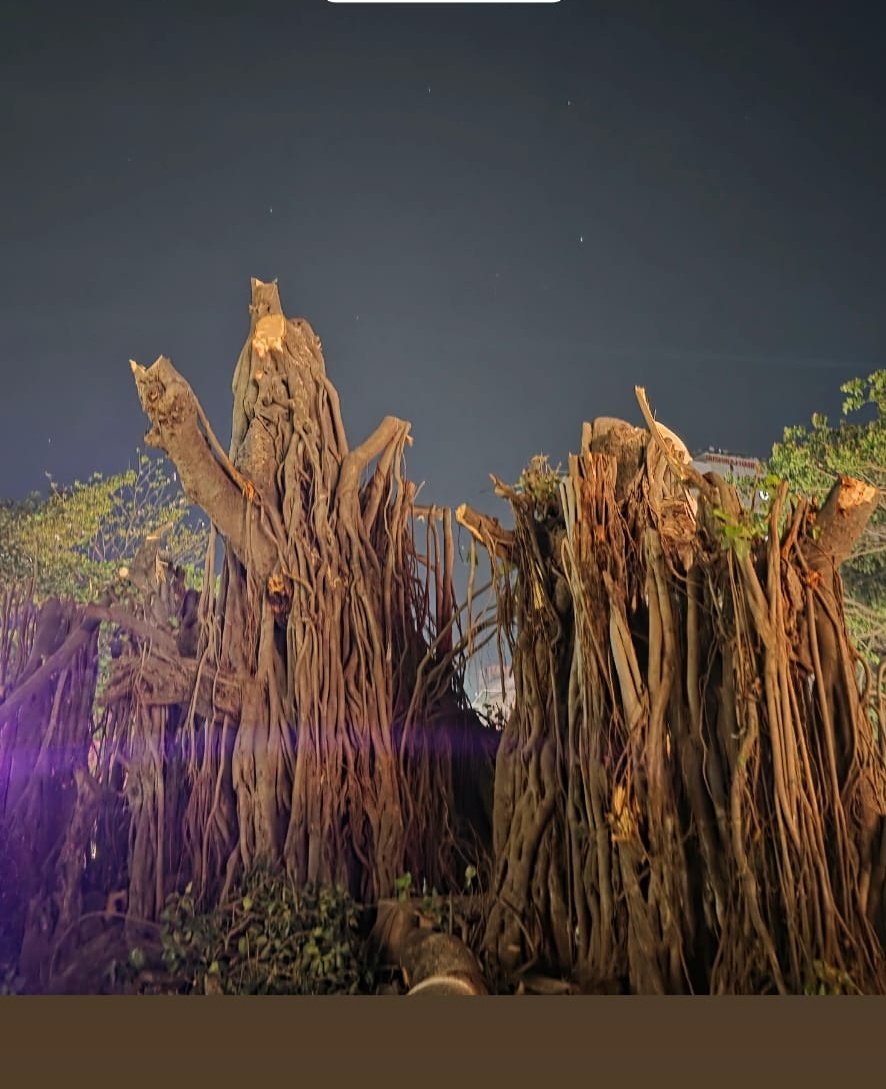 शब्द माझा सखा...✨❤️ tweet media