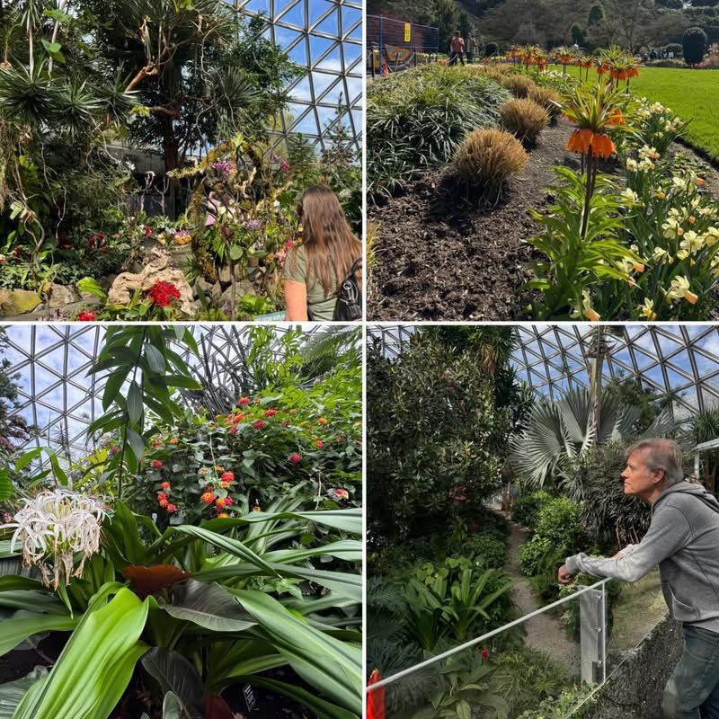ericpoxleitner's tweet photo. Such a wonderful spring day touring some of Vancouver’s finest of tropical gardens… I could spend all day here. #bloedelconservatoryvancouver #gardenliving https://t.co/XbkE2Ia6jq