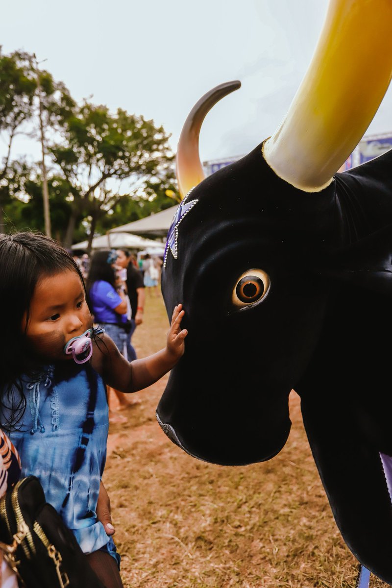 Michel.Amazonas tweet media