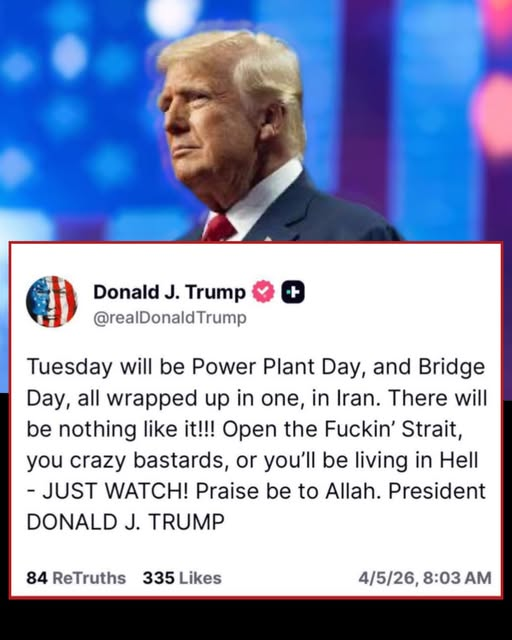 TRUMPGIRL tweet media