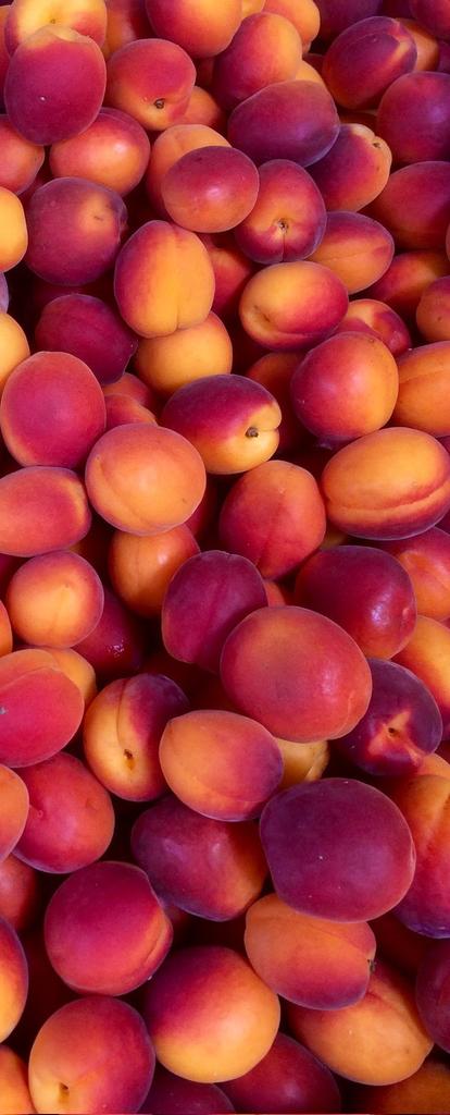 *loving boy* tweet media