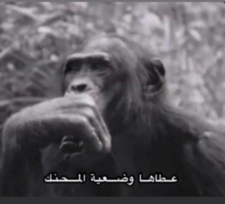 s (@7vv7v1) on Twitter photo 