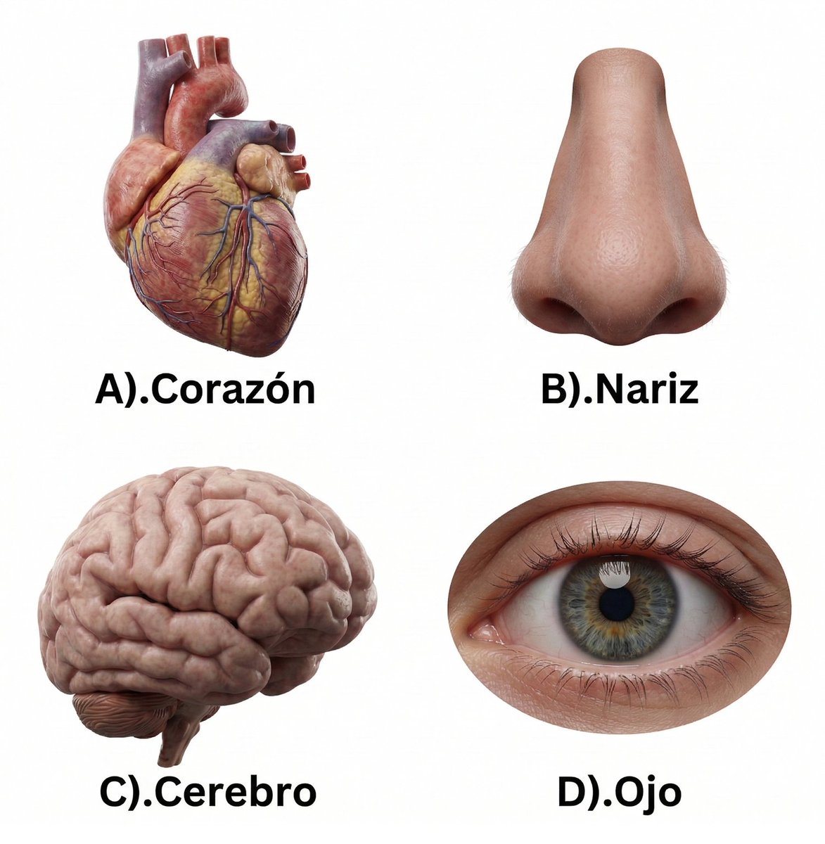 Comunidad Biológica tweet media