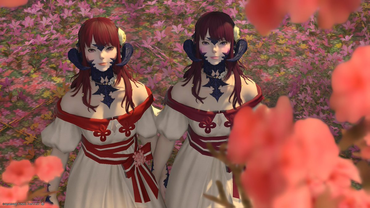 瑠都-Ruto- tweet media