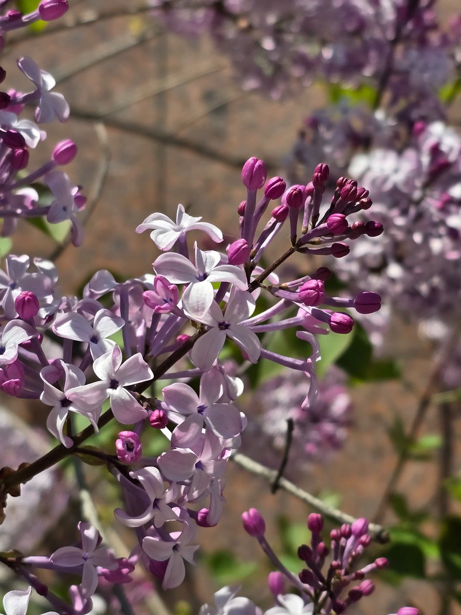 ❈𝟚𝔼𝕆❈ tweet media