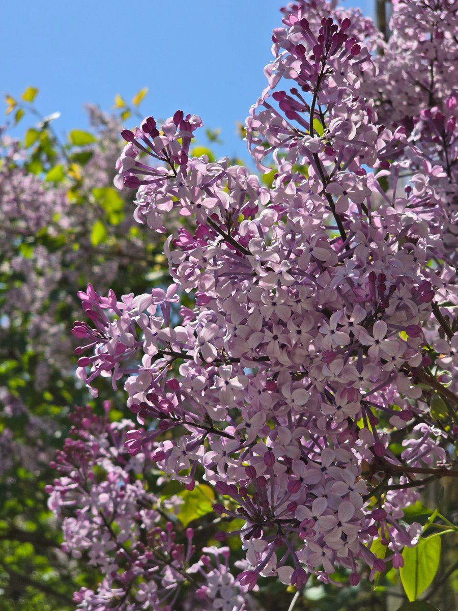 ❈𝟚𝔼𝕆❈ tweet media