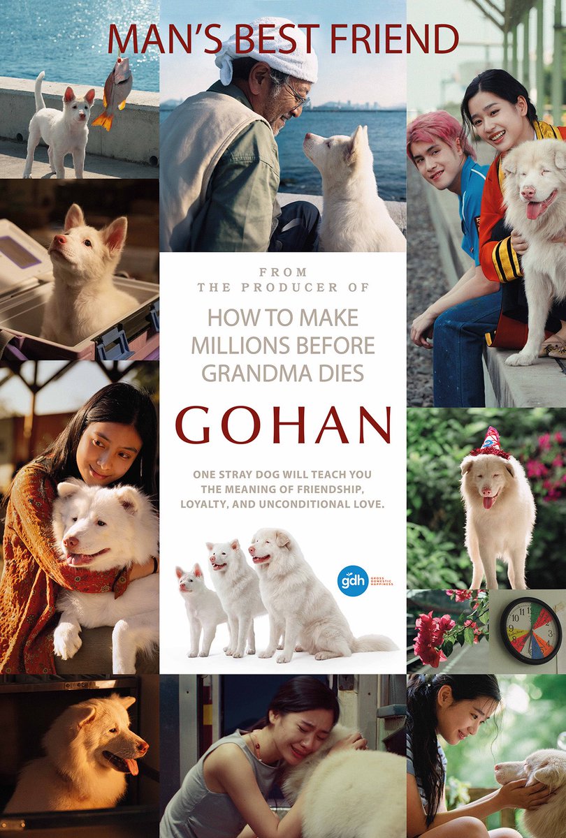 bwi🦷 // GOHAN 🐾 tweet media