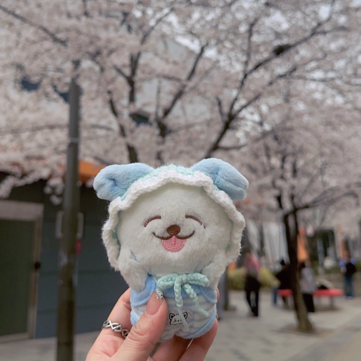 Jennnlee_'s tweet photo. 🌸✨  #나나생각중 #재민 #제노 https://t.co/a93KtfnnU2
