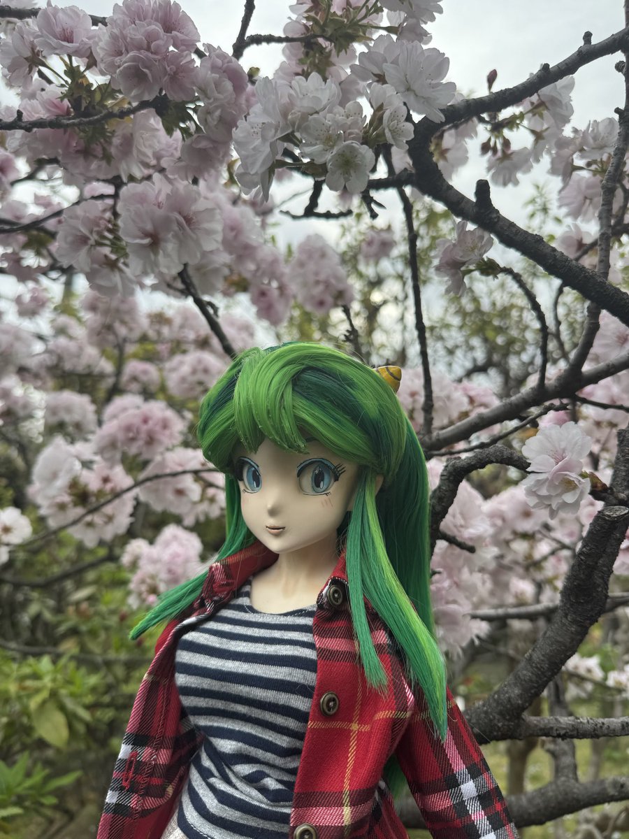 #うる星やつら
#ラムちゃん
こんにちはだっちゃ