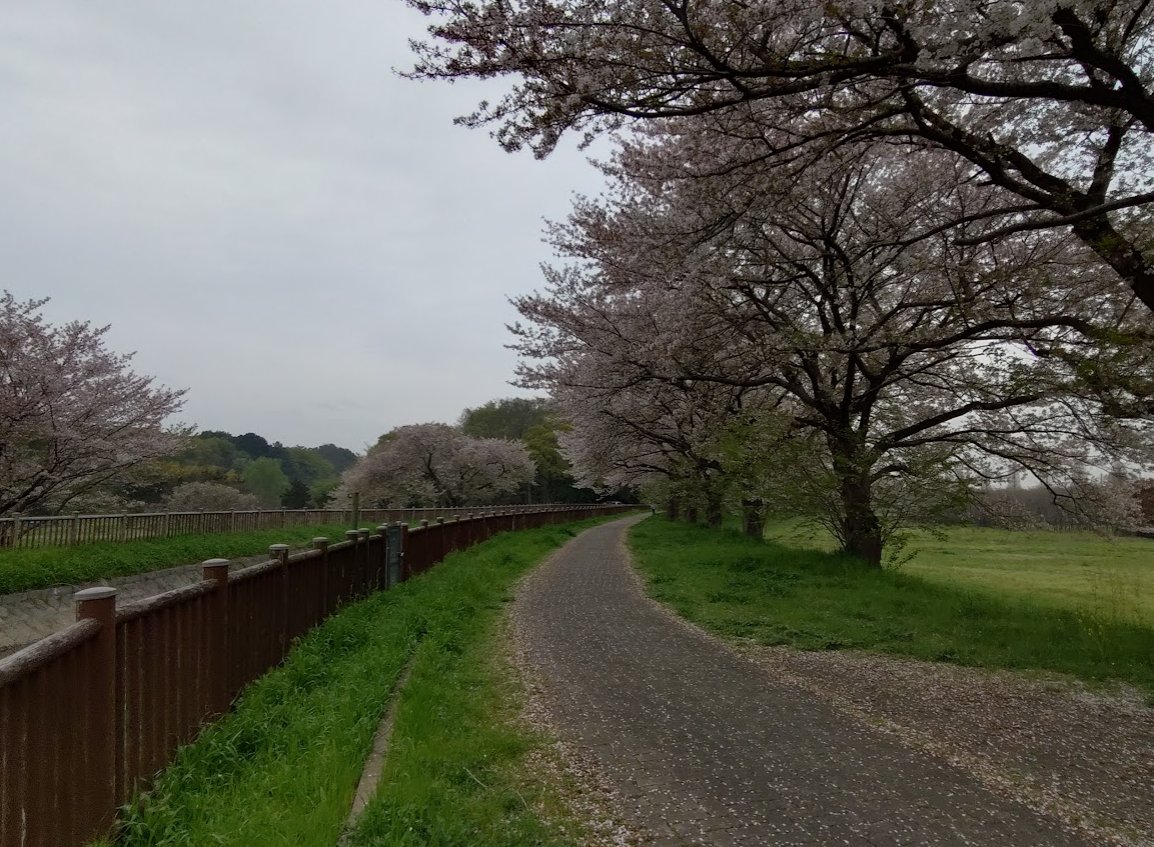 はなゆめ tweet media