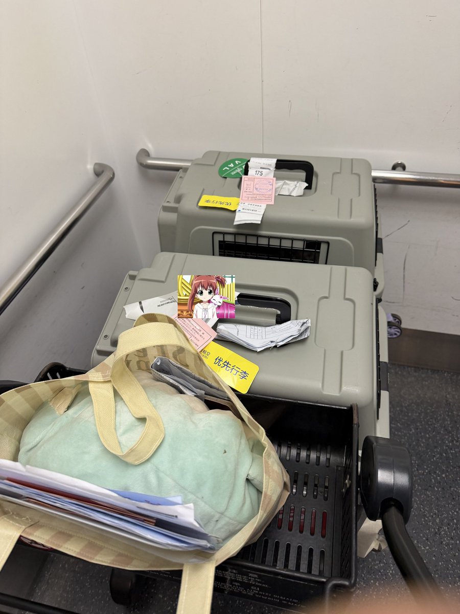 嫩小瑶的极乐净土 tweet media