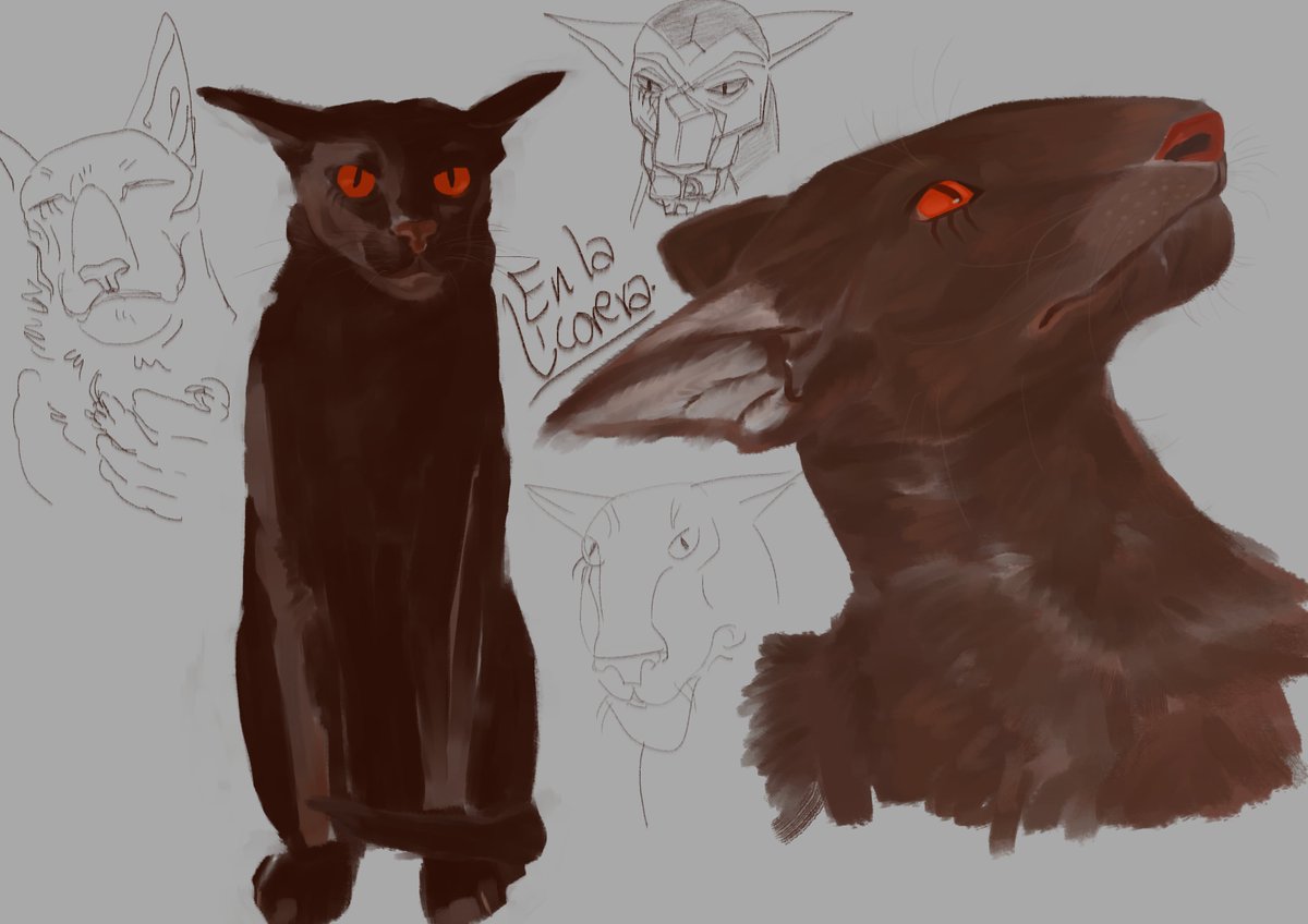 Pernicious dog tweet media