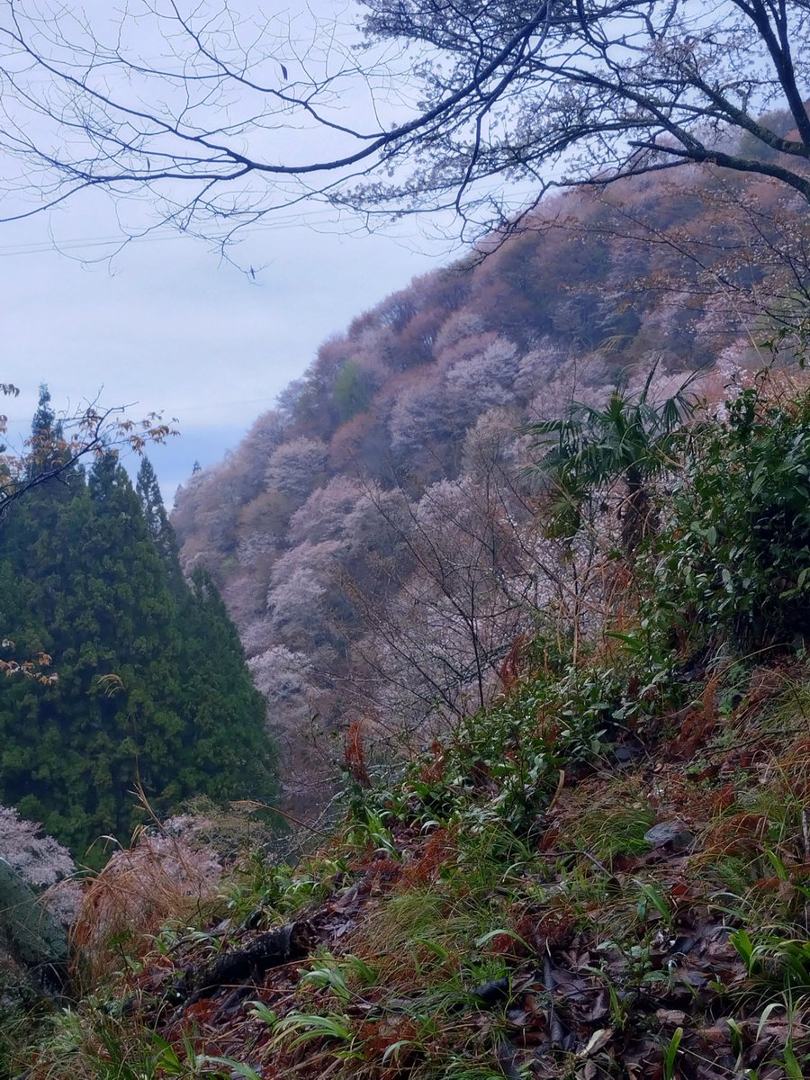 cococonokokoko tweet media