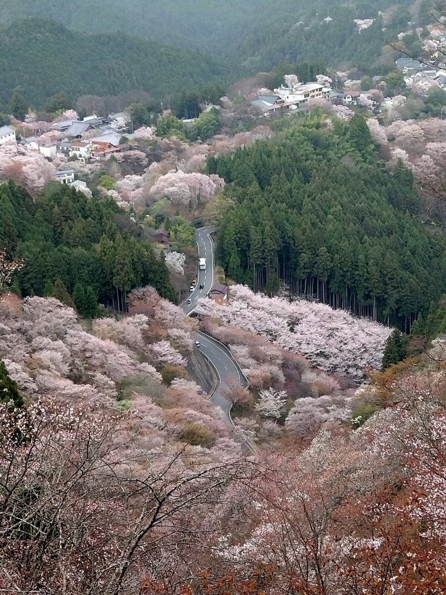 cococonokokoko tweet media