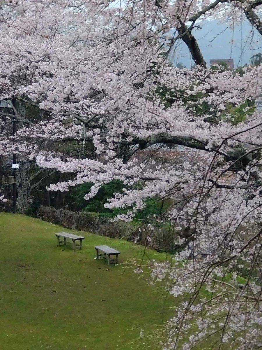 cococonokokoko tweet media