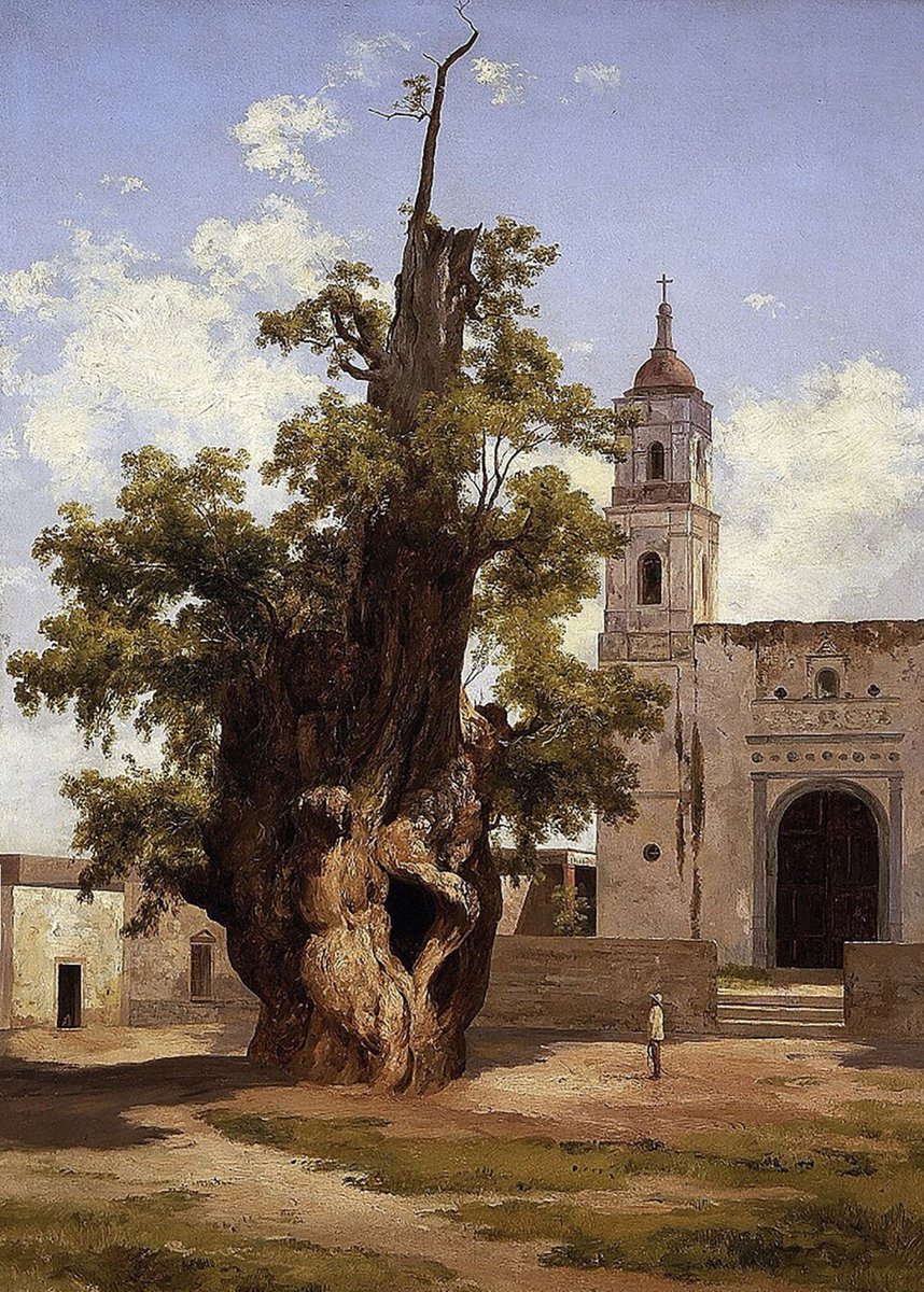 A$AP PUNCH ♕ tweet media