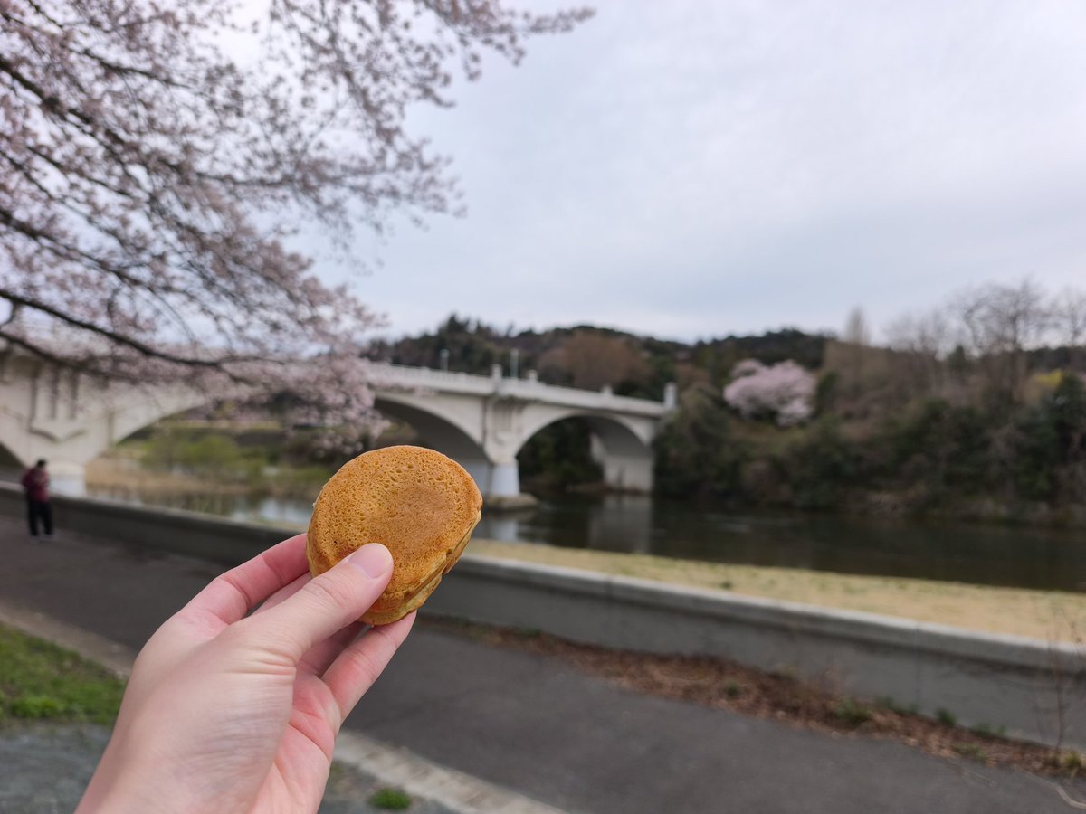 ずんだ tweet media