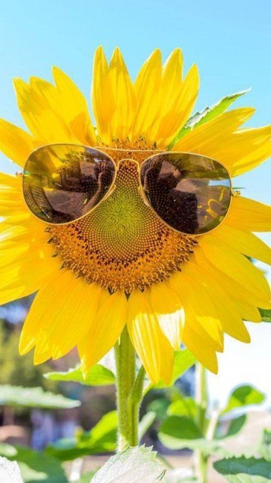 RsaelMenWardرسائل من ورد tweet media