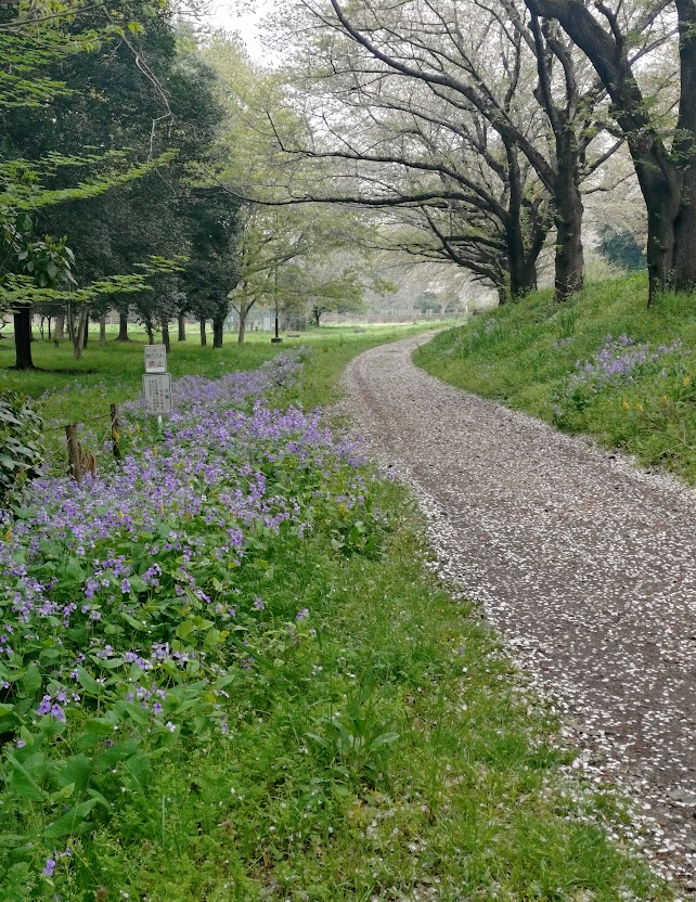 はなゆめ tweet media