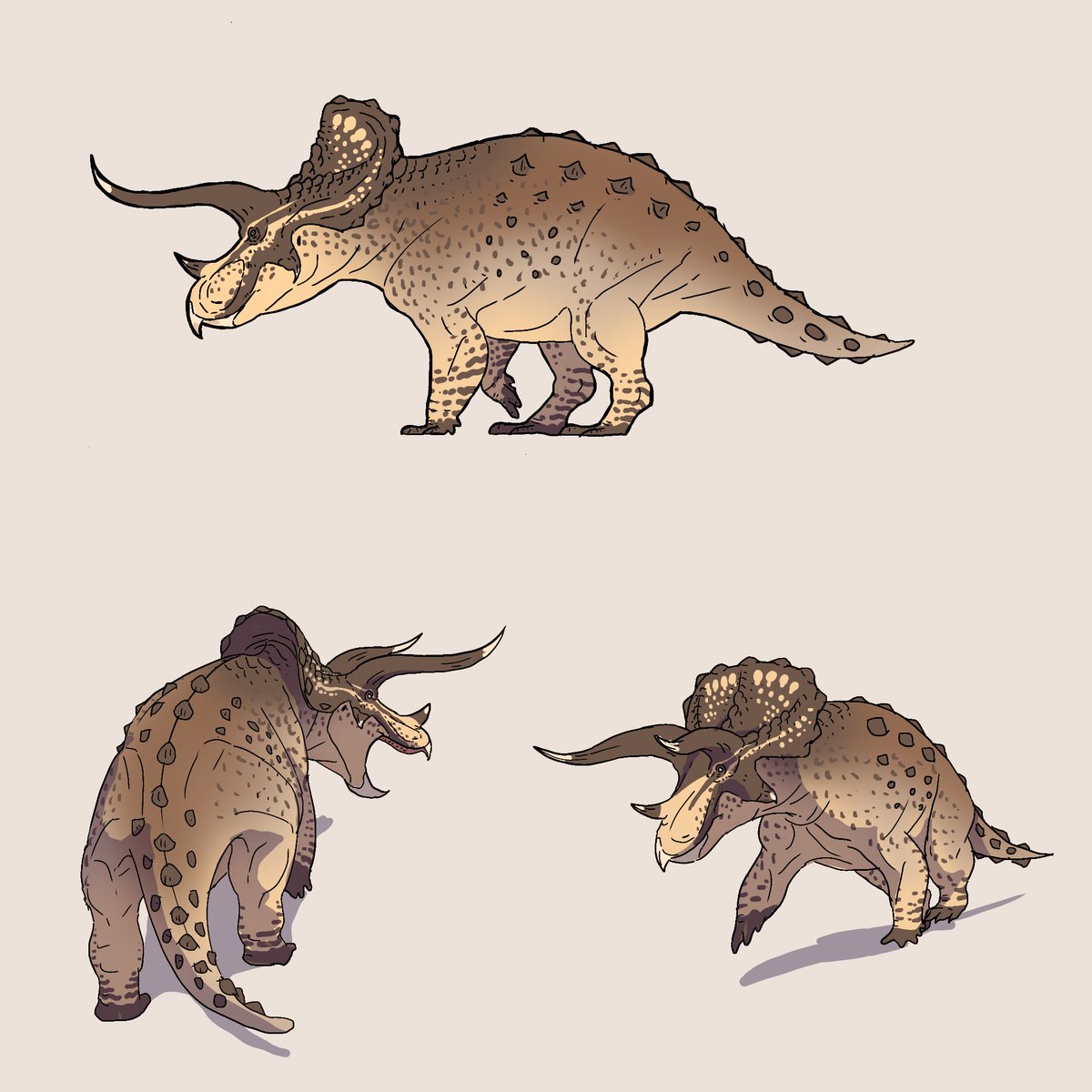 Howard roland tweet media