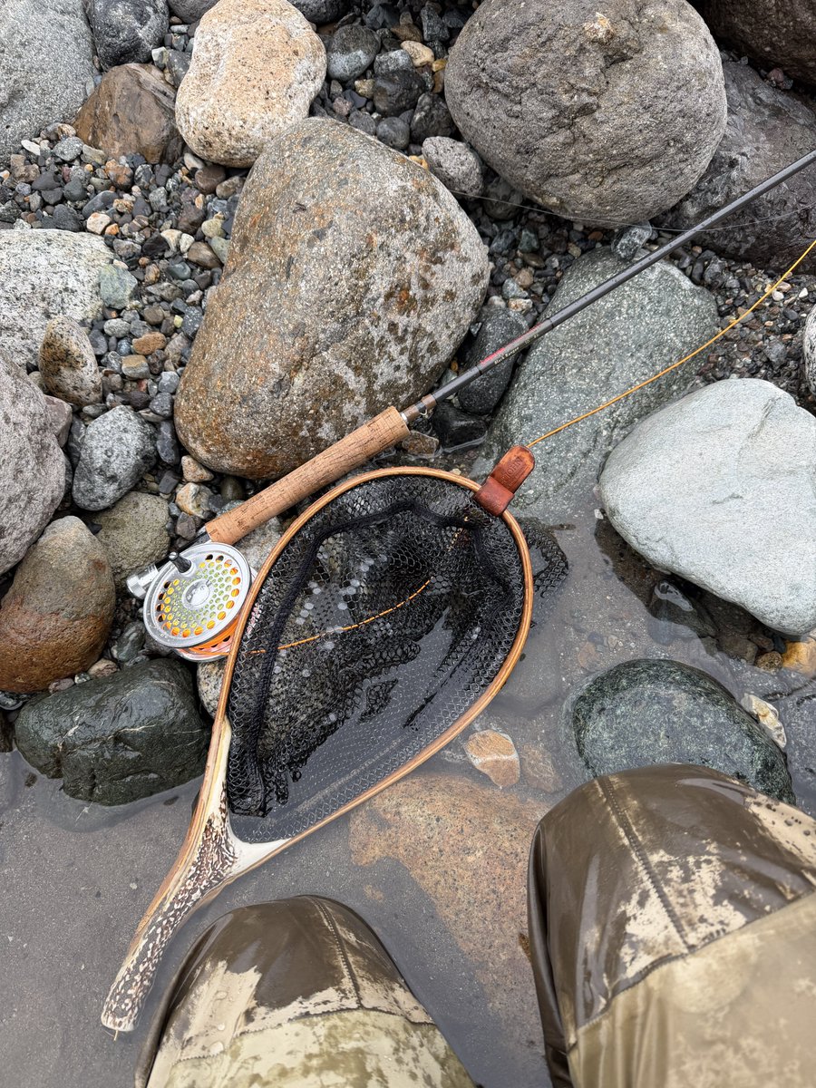 マスオちゃん tweet media