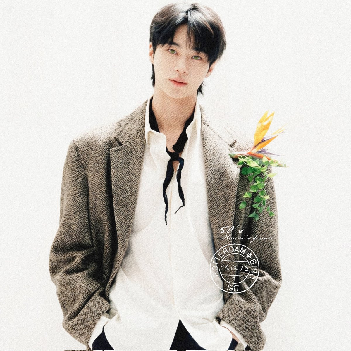 vanchú, tweet media