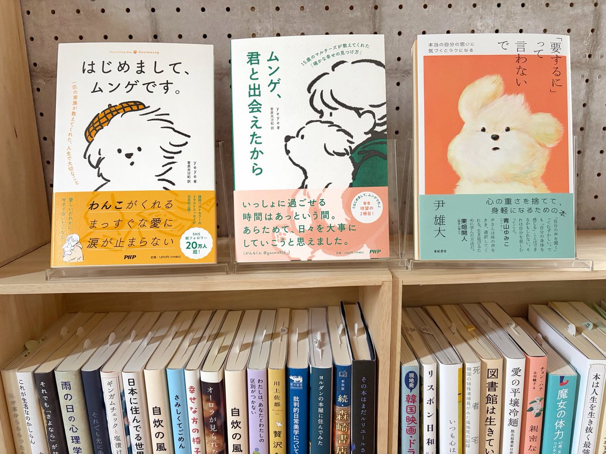 はぷう｜韓国文学の書店はじめました tweet media