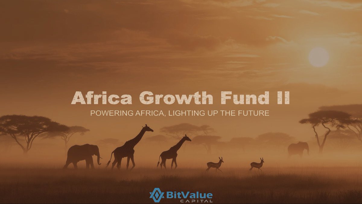 BitValue Capital tweet media