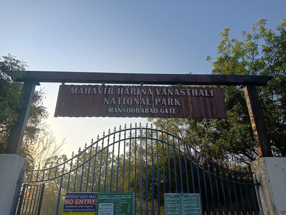 Masi_Reddy@Neel tweet media