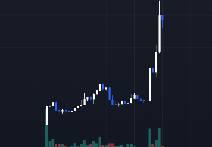 Hunter Andrew tweet media