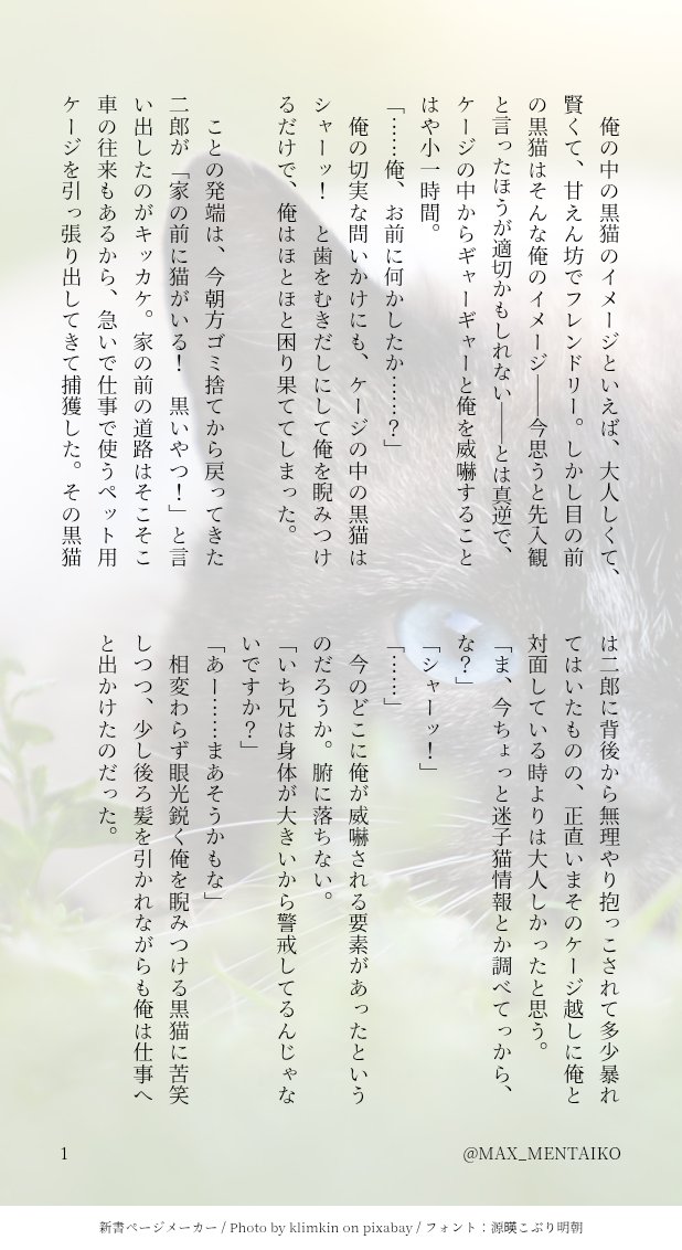 めんたいこ tweet media