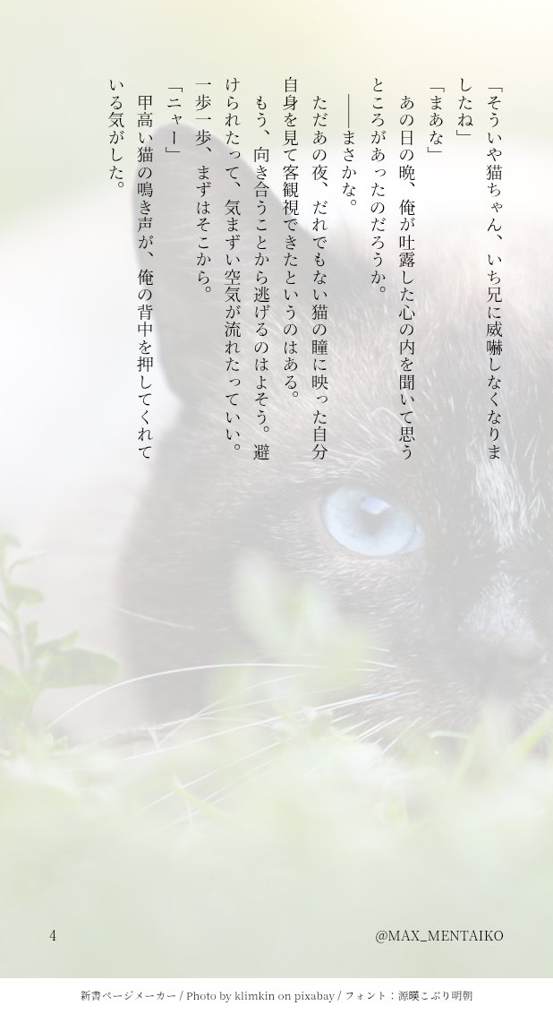 めんたいこ tweet media