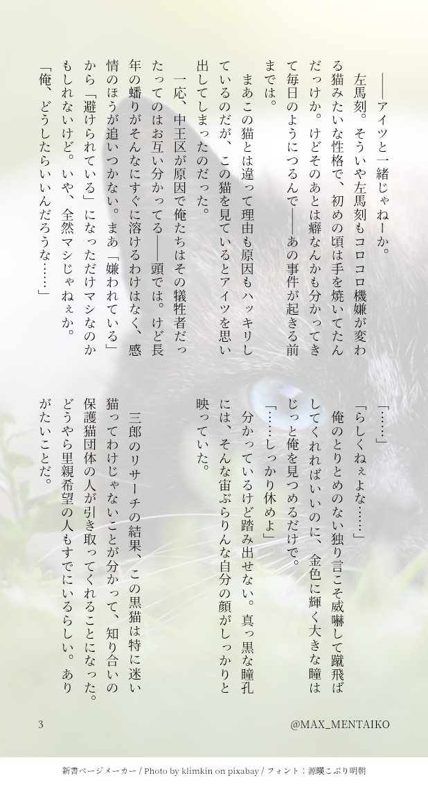 めんたいこ tweet media