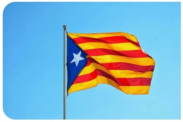 Yossi Goldstein tweet media