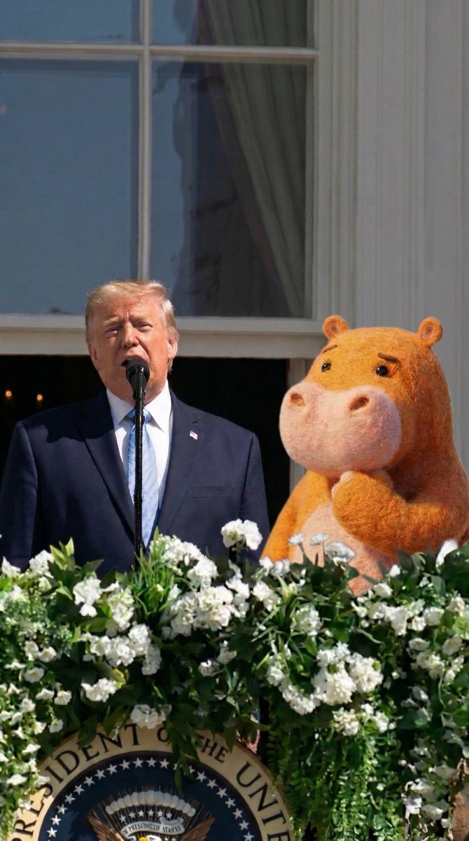 Capy Friends tweet media