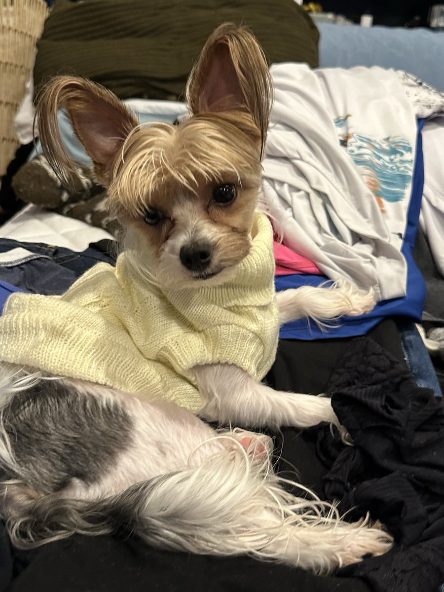 SheAintRight😉🏝️ tweet media