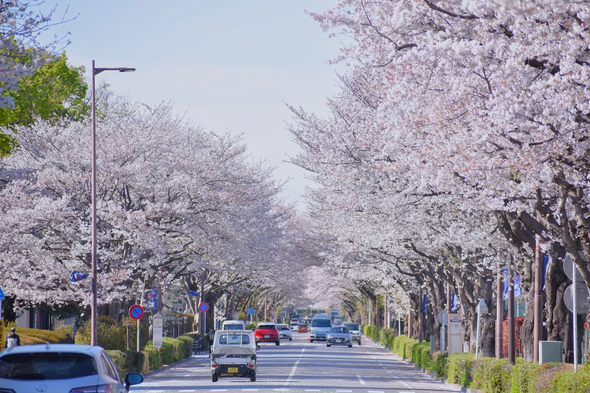 味の素スタジアム tweet media