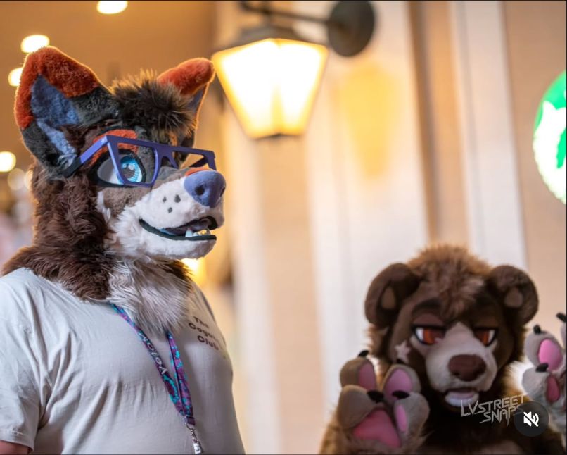 Yotey Coyote 🔜 FWA tweet media