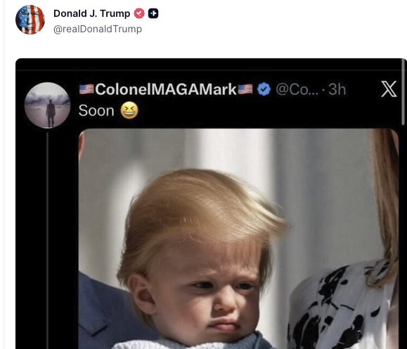 Nikolai Hauck tweet media