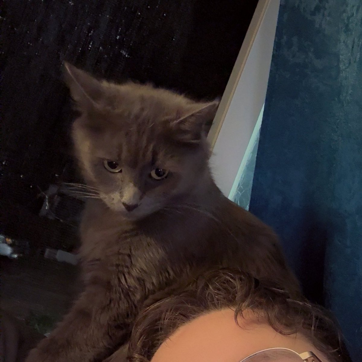 ariona 🐛 HAPPY BIRTHDAY MIKE tweet media