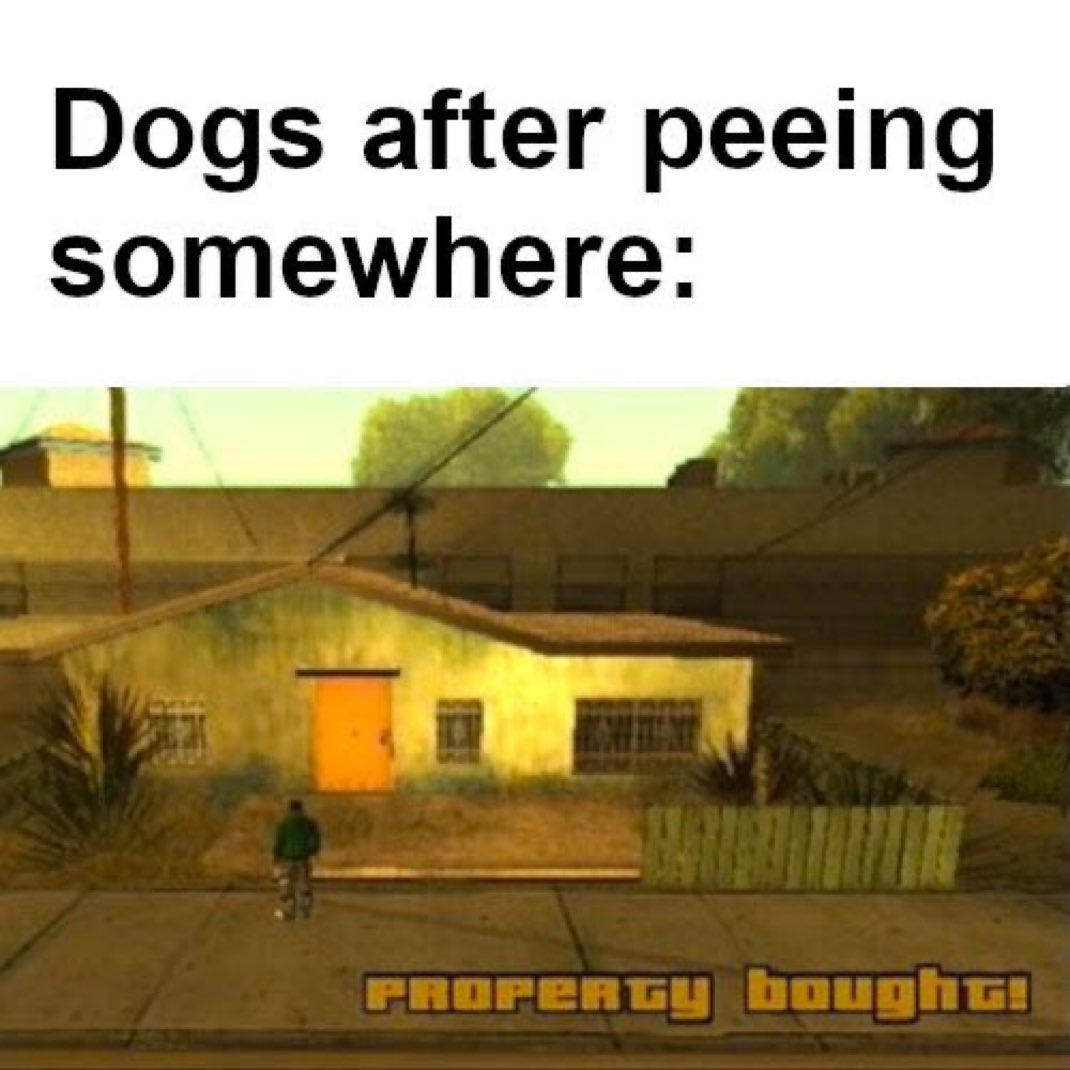 Memes I found shoved up my Ass tweet media