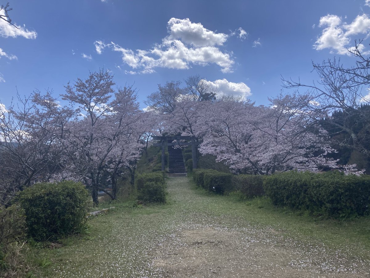 ちんたろぉ☭1413 tweet media