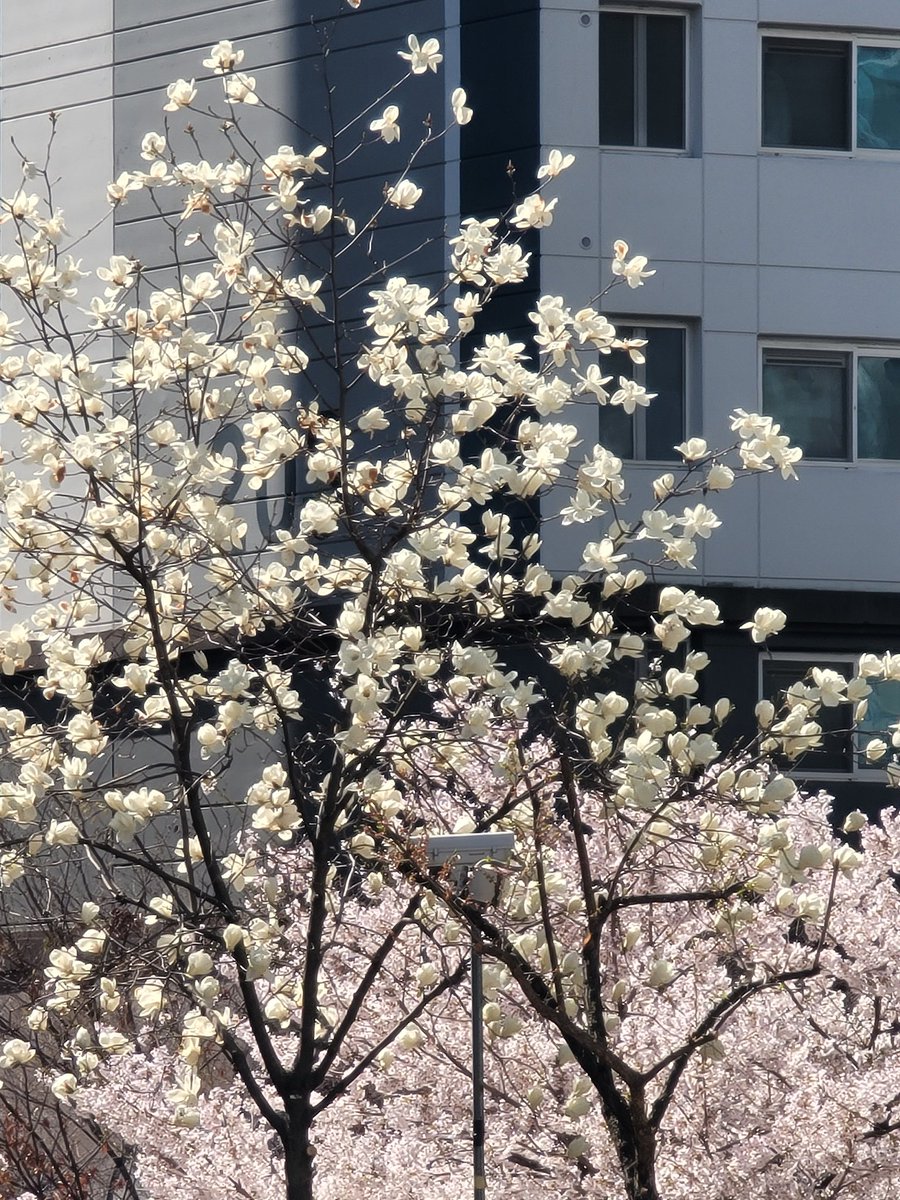 𝑠𝑒𝑟𝑒𝑛𝑎𝑑𝑒 tweet media